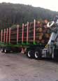 Scania R580 mit Doll Logo 22 Teleskopierbar